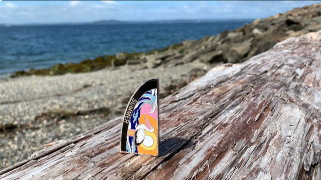 4 Sesongers Geocoin - Vinter