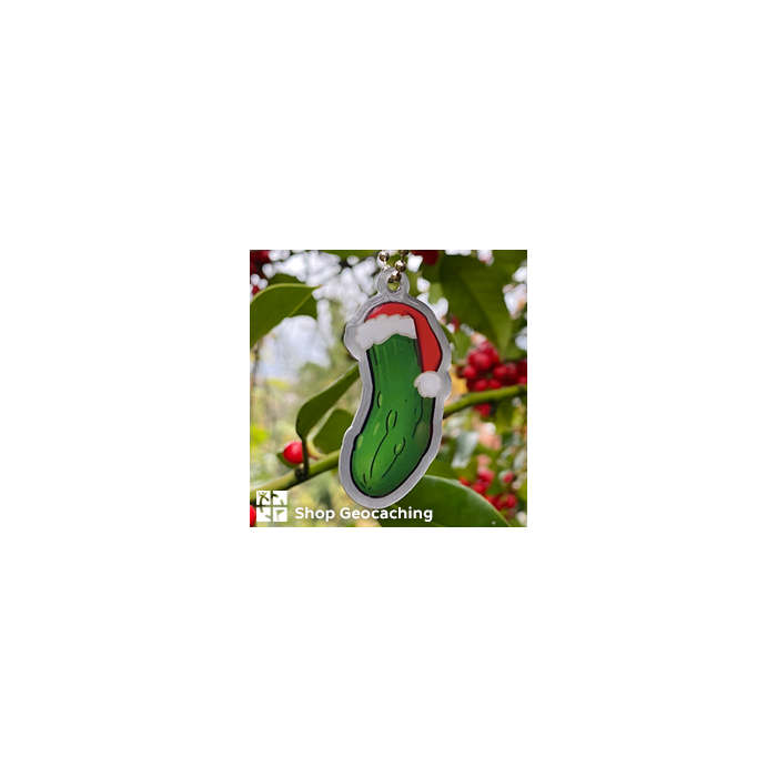 Christmas Pickle Travel Tag