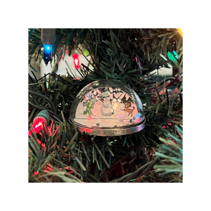 3D Snow Globe Geocoin